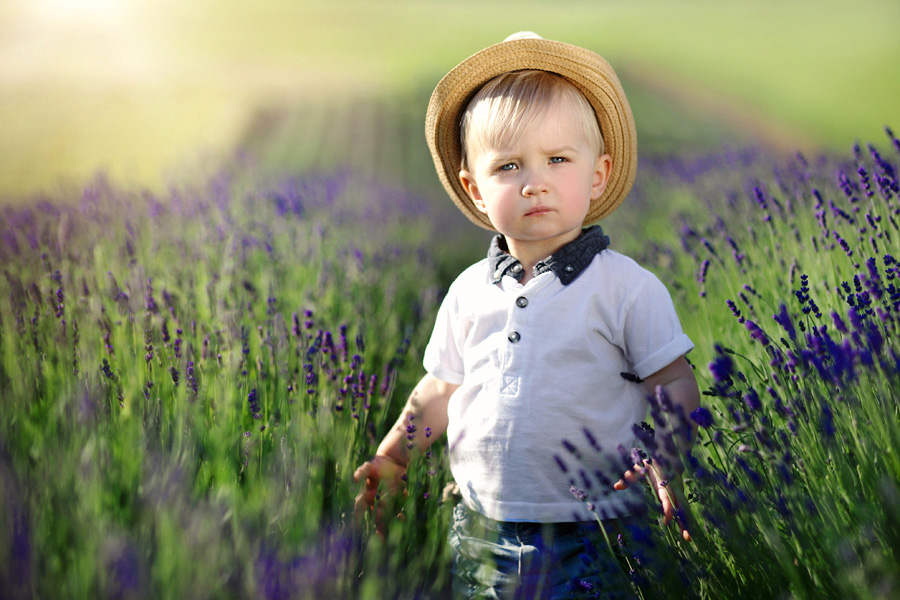 Lavender Boy by Justyna Ortyl