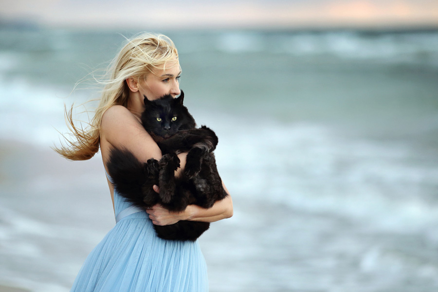 Black Cat