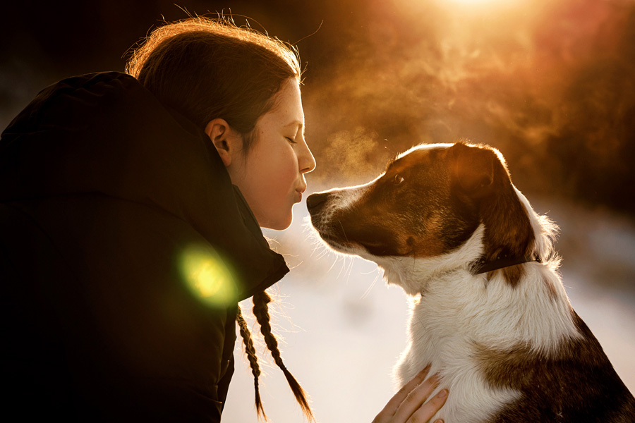 fotografia rodzinna z pieskami