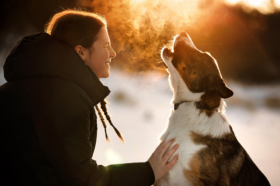fotografia rodzinna zwierzęta