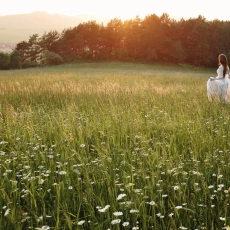 fotografia ślubna Rzeszów