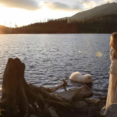 fotografia ślubna Kraków