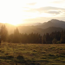 fotografia ślubna Kraków
