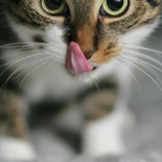 fotografia ślubna Kraków