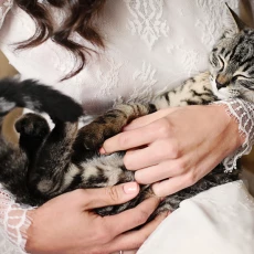 fotografia ślubna Kraków