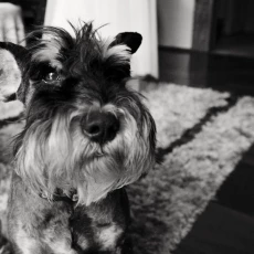 fotografia ślubna Rzeszów